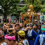 Schrein-Festival in Tokio / © Foto: Georg Berg