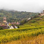 Weinberge und die Burg von Kaysersberg / © Foto: Georg Berg