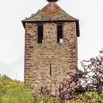 Storch und Tauben auf dem Kessler Turm in Kaysersberg / © Foto: Georg Berg