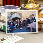 In Aups (Frankreich) werden an jedem vierten Sonntag im Januar die Trüffelhunde und ein Trüffelschwein vor der Kirche Sankt Pankras gesegnet. Das Trüffelschwein ist immer ein Weibchen, denn die Sexualhormone eines männlichen Schweins riechen ähnlich wie Trüffel / © Foto: Georg Berg