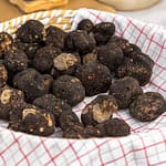 Schwarzer Trüffel, Wintertrüffel, Frankreich, Region Var, Tuber Melanosporum, Preis pro Kilo zwischen 600 und 1.000 Euro / © Foto: Georg Berg