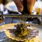 Schwarzer Trüffel mit Jakobsmuschel. Ein Klassiker in der französischen Küche / © Foto: Georg Berg