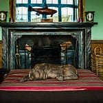 Der Salon in Hotel  Endsleigh in Devonshire. Eigentümerin Olga Polizzi ist bekannt für ihren Einrichtungsstil. Den Fisch hat sie als Leitmotiv im ganzen Haus wiederkehrend platziert, denn der Fisch ist eine Referenz an die Vergangenheit des Hauses als Fischer-Logde / © Foto: Georg Berg