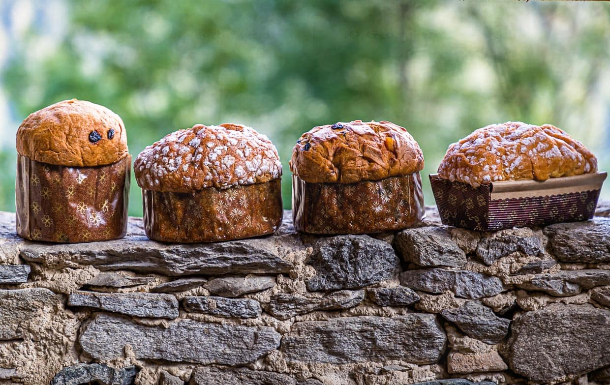 Panettone wird auch in Deutschland immer beliebter. Der Legende nach ist der Erfolg des Panettone auf das Missgeschick eines Mailänder Kochs zurückzuführen / © Foto: Georg Berg