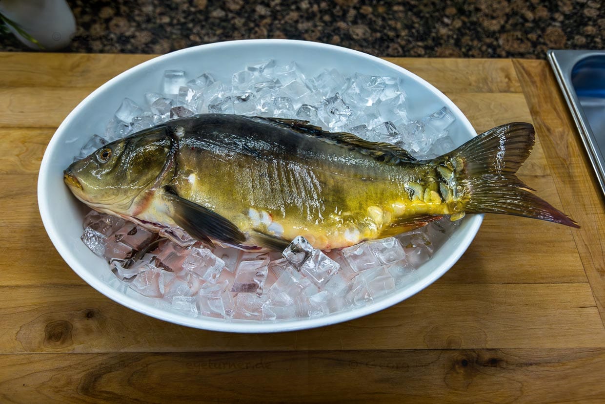 Frisch geschlachteter Spiegelkarpfen auf Eis / © Foto: Georg Berg