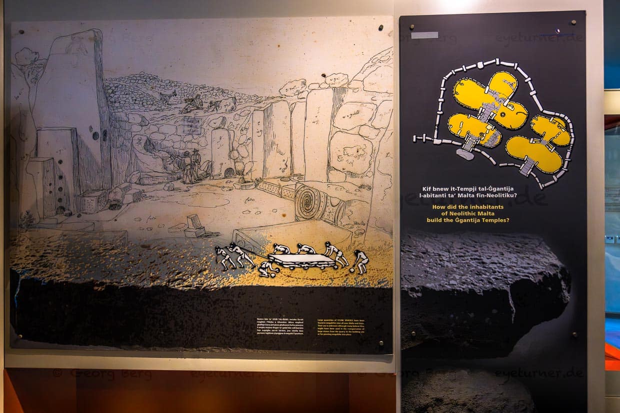 Im Museum am Ġgantija Tempel wird dargestellt, wie in der Jungsteinzeit schwere Steine transportiert und verbaut wurden. Anscheinend wurde vor 5.000 Jahren schon der Vorläufer des Kugellagers erfunden / © Foto: Georg Berg