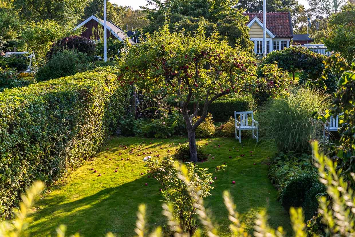 The allotment garden settlement called Rothoffska Koloni in the former Zidadelle of Landskrona / © Photo: Georg Berg