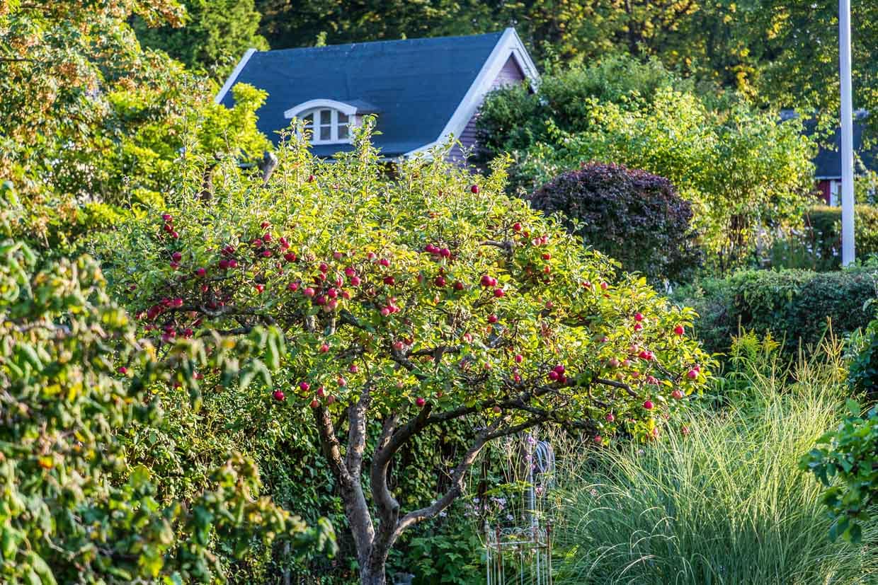 The allotment garden settlement called Rothoffska Koloni in the former Zidadelle of Landskrona / © Photo: Georg Berg