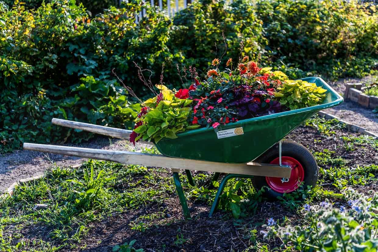 The allotment garden settlement called Rothoffska Koloni in the former Zidadelle of Landskrona / © Photo: Georg Berg