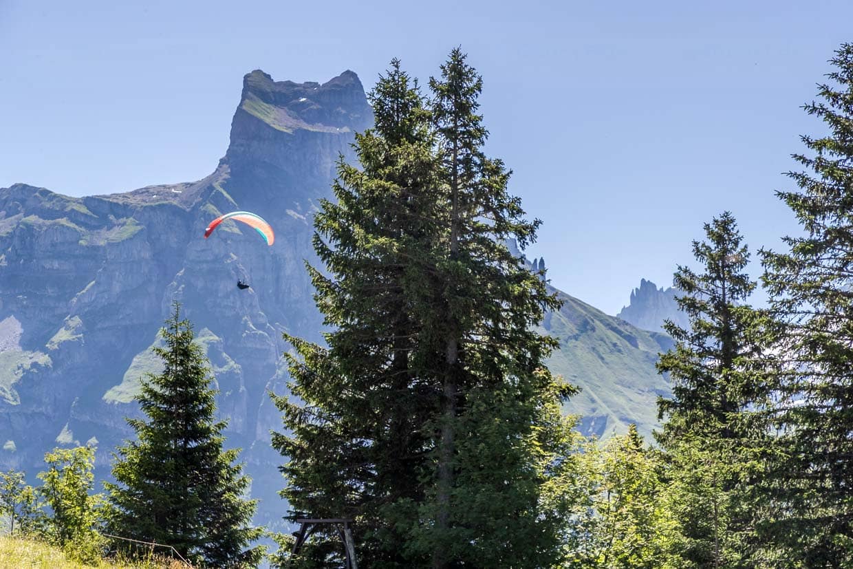 Ein Paragleiter vor dem Berg Hahnen, Engelberg / © Foto: Georg Berg