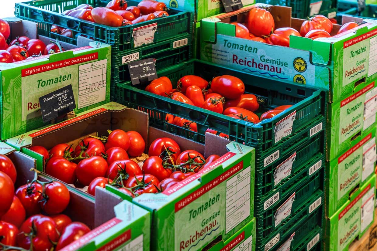 Tomaten von der Gemüseinsel Reichenau. Pro Jahr werden auf Reichenau 2.300 Tonnen Tomaten, davor 1.600 Tonnen Bio-Tomaten angebaut / © Foto: Georg Berg