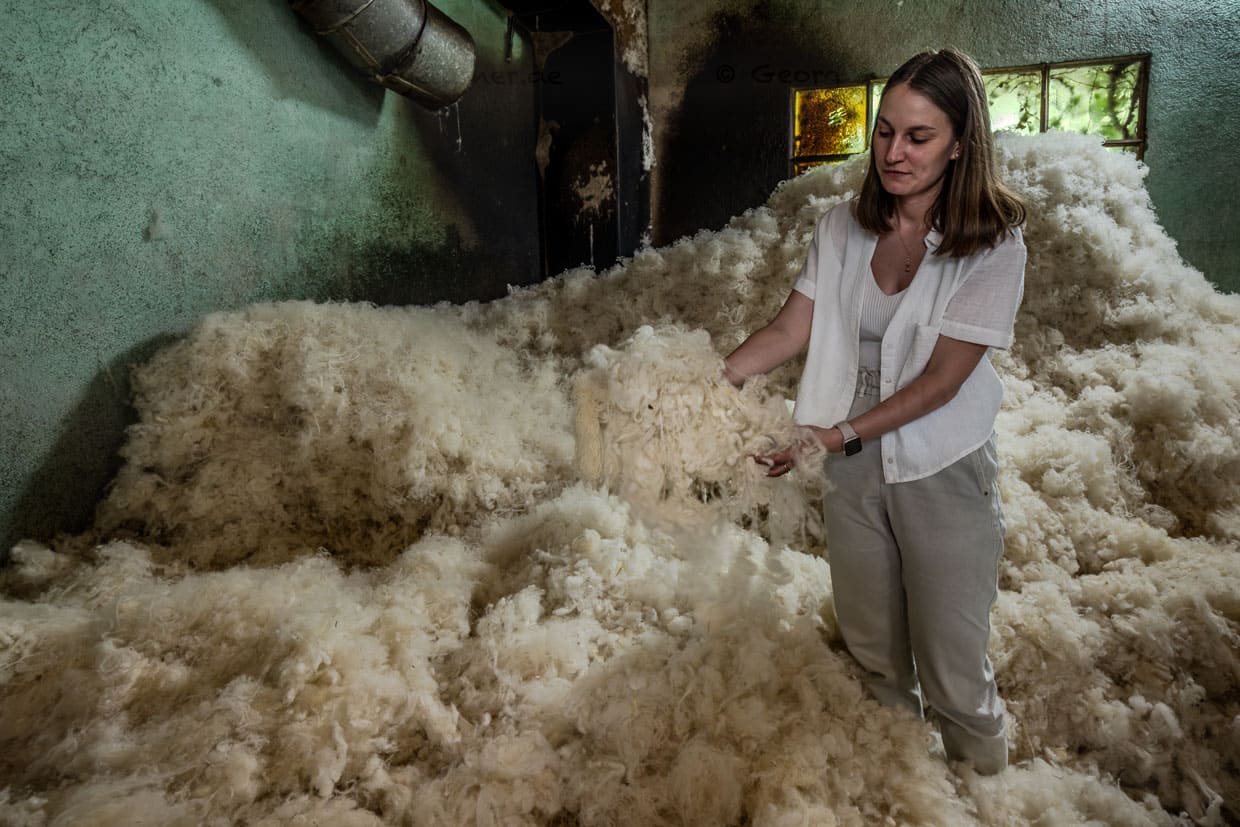 Tiffany Terrade, Geschäftsführerin der Spinnerei Terrade inmitten von Rohwolle. Die Wolle wird zuerst gereinigt und kardiert, oft mit sortierten Rohwollen unterschiedlicher Herkunft (Rava, Bizet, Limousine, Solognote, Alpaka, Yak) / © Foto: Georg Berg