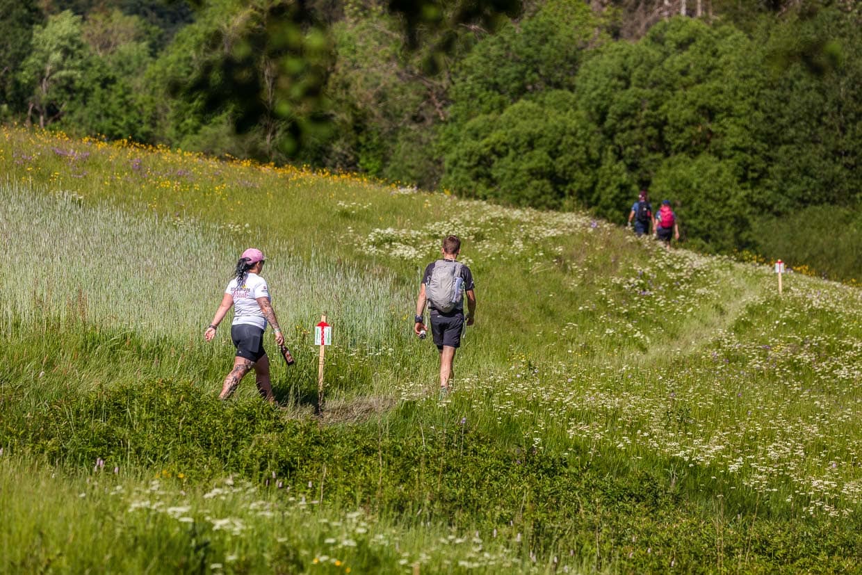 Eine Braut und Wanderer gehen auf einem Pfad durch eine blühende Wiese Zur Aumühle Steinbach am Wald Germany