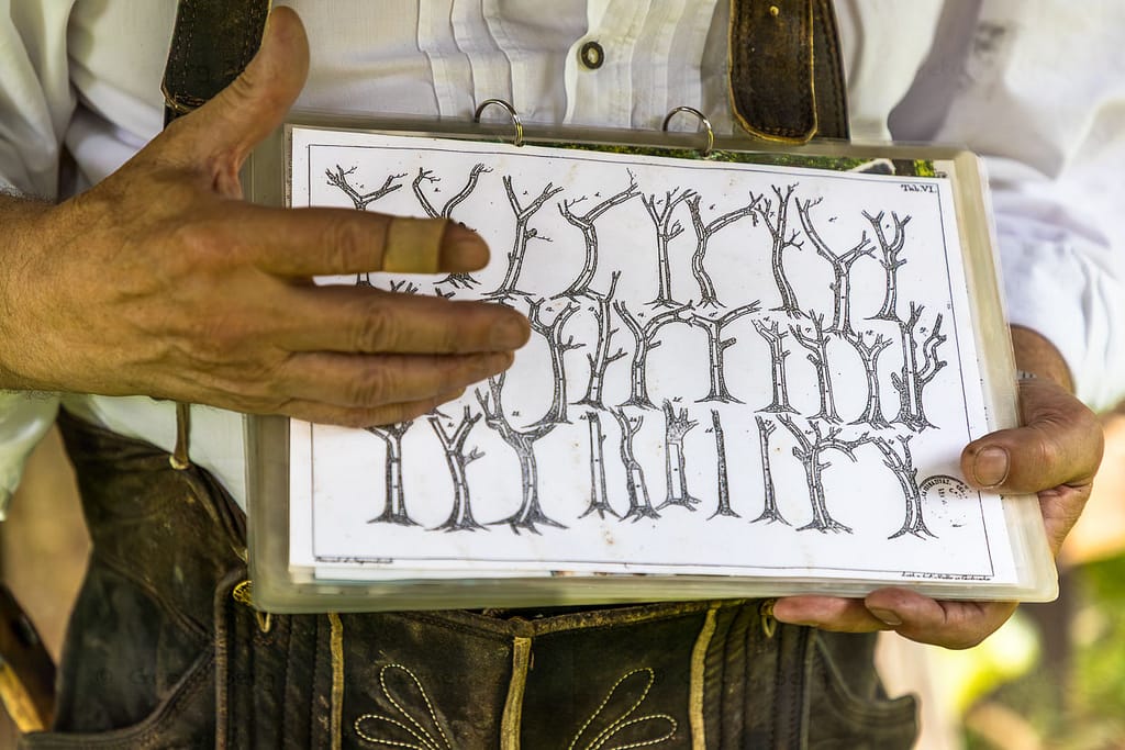Flößer Martin Sprang zeigt Konstruktionszeichnungen, die im Wald zur Auswahl der Bäume verwendet werden konnten / © Foto: Georg Berg