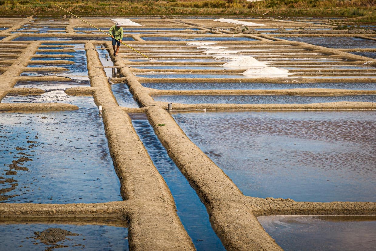 Bretagne Guerande: Salzbauer Paludier in seinem Kanalsystem / © Foto: Georg Berg
