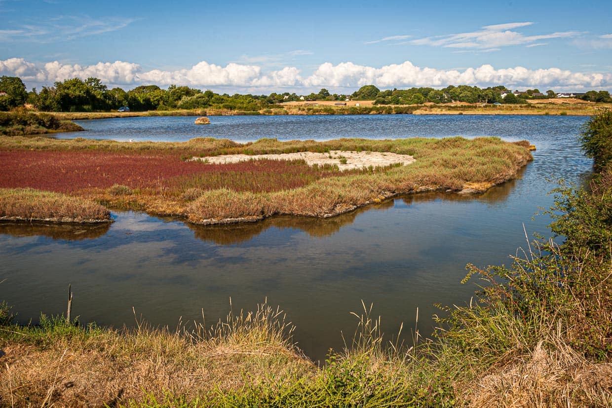 Jedes Mal bei Neumond ist die Flut besonders hoch und füllt das erste Reservoir / © Foto: Georg Berg