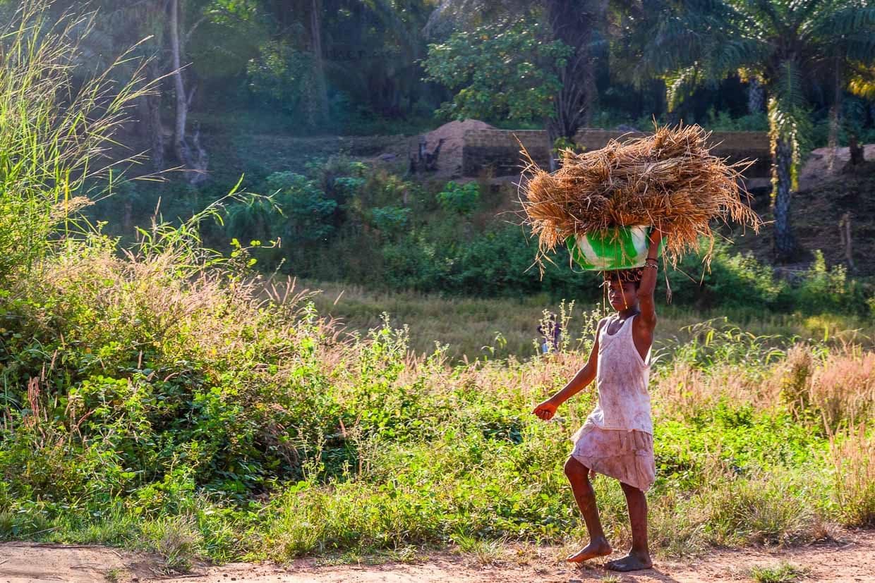 Kinder arbeiten in Sierra Leone mit. Über weite Strecken holen sie zum Beispiel Reis vom Feld / © Foto: Georg Berg