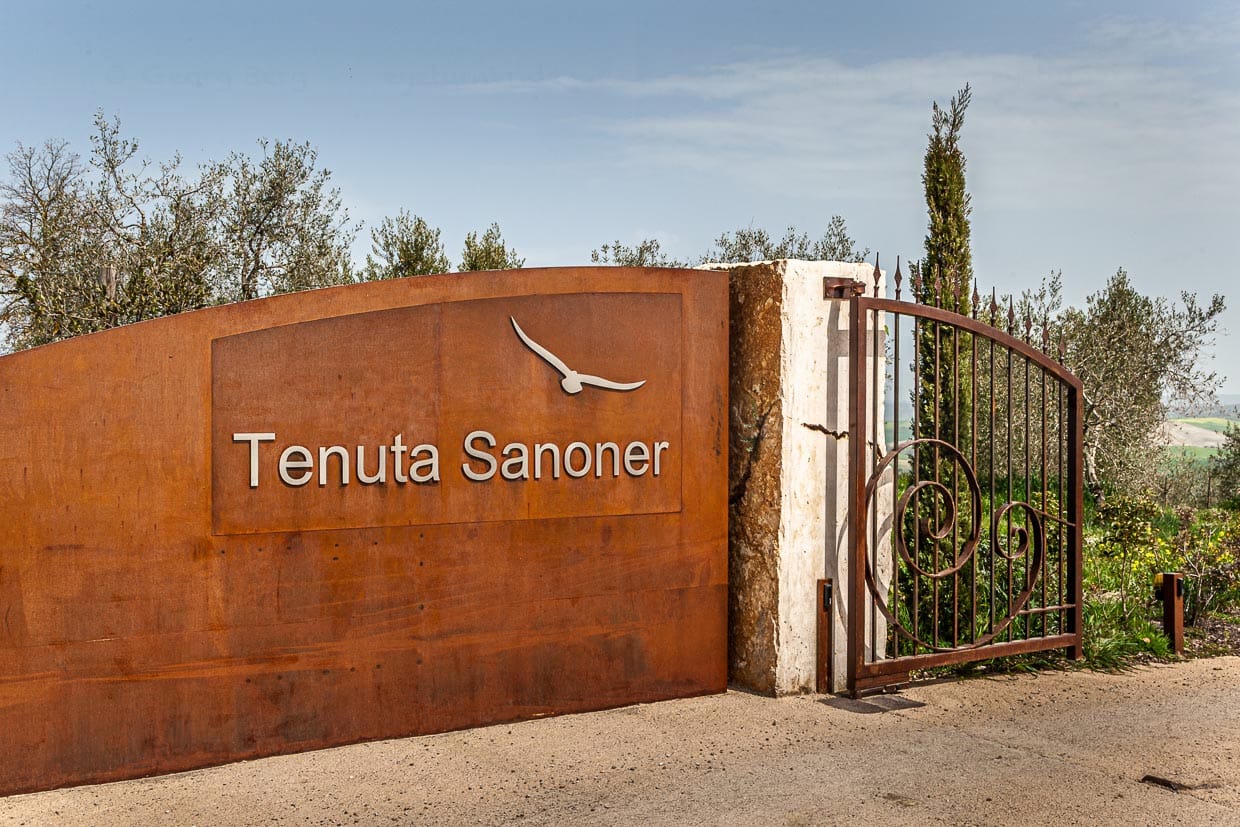 Gut zu Fuß erreichbar liegt oberhalb des Hotels das junge Weingut der Familie Sanoner / © Foto: Georg Berg