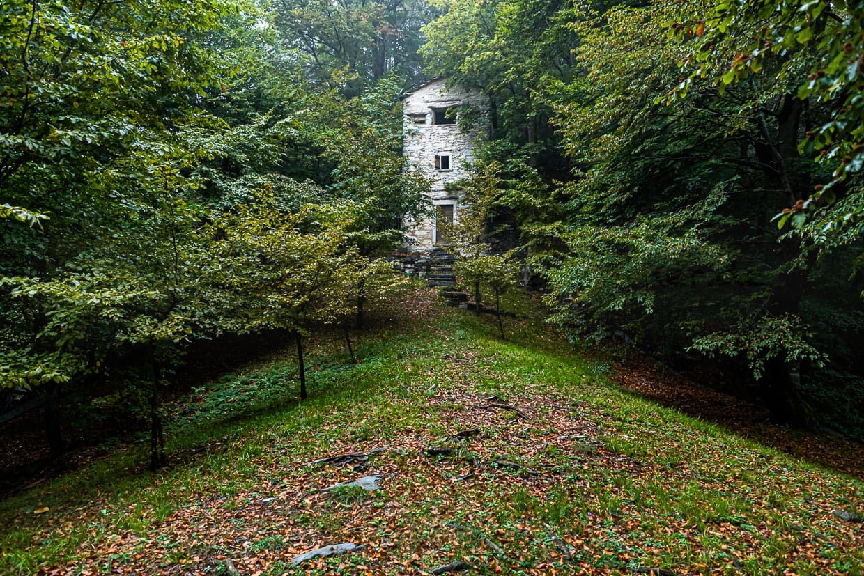Versteckt zwischen den Bäumen, auf eine Höhe von 950 Meter steht der Roccolo Meri, der Vogelturm von Scudellate. Der Turm wurde restauriert und ist zu bestimmten Zeiten auch zu besichtigen / © Foto: Georg Berg