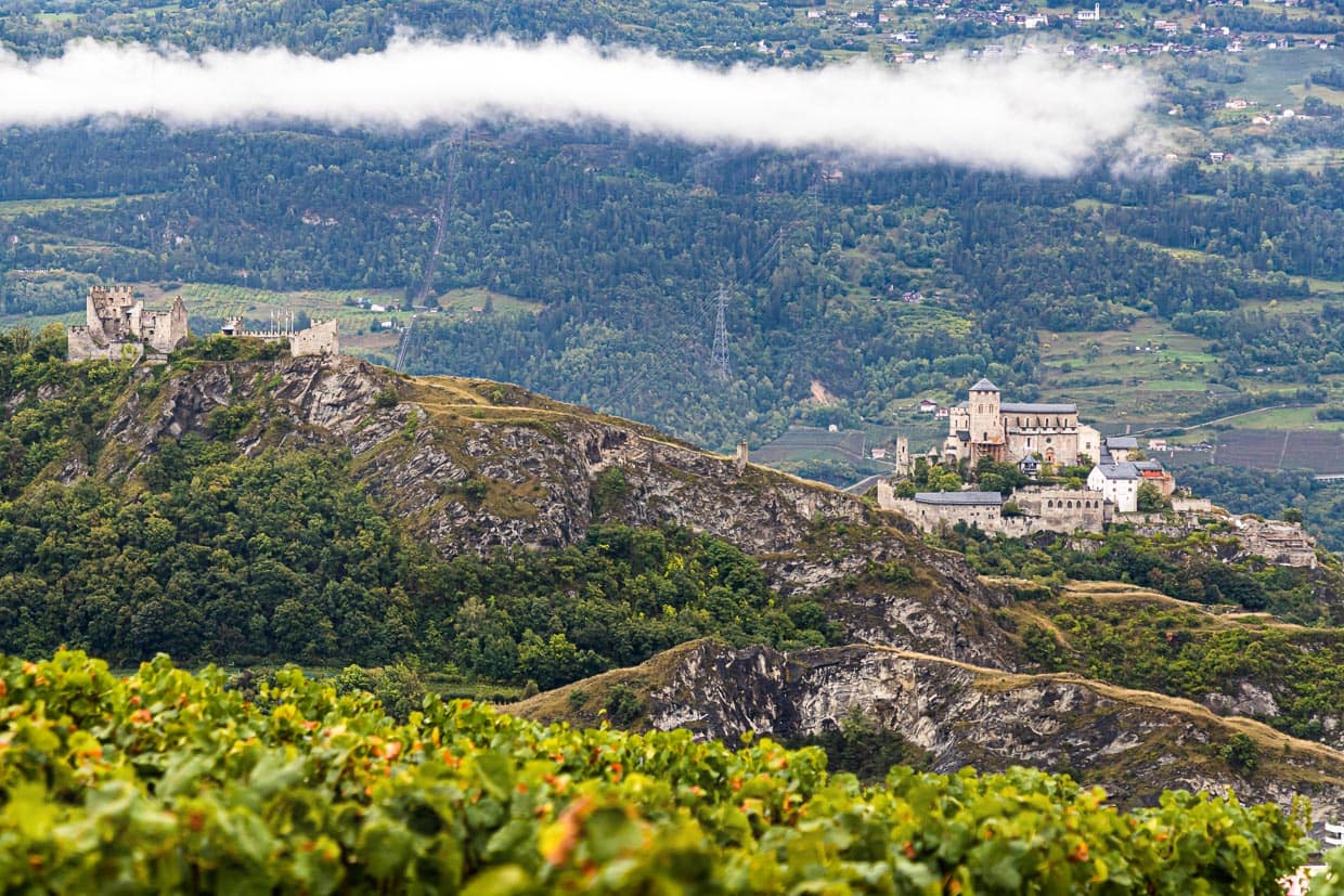 Sion mit den Burgen Valère und Tourbillon umgeben von Weinbergen / © Foto: Georg Berg