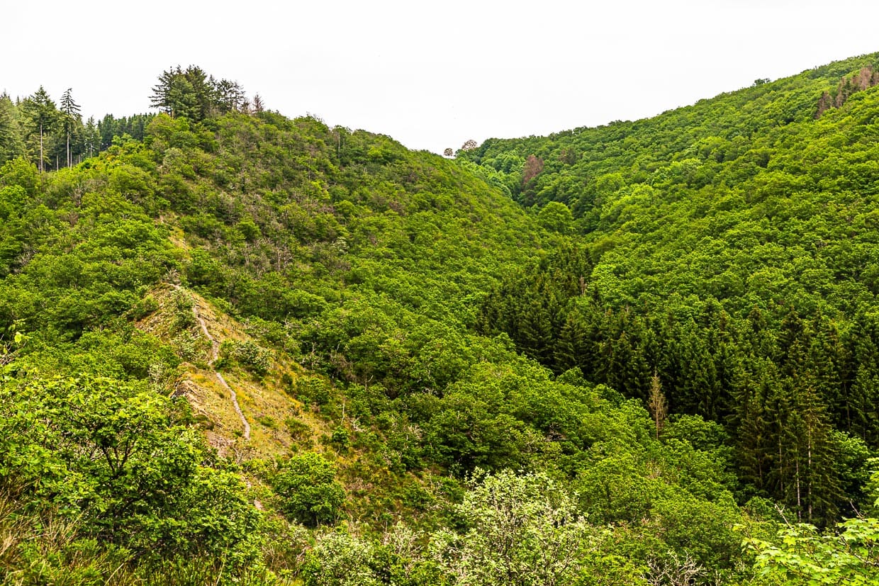 Der Molberlee Grat. Hier führt ein schmaler Pfad rund 500 Meter lang über bröseliges Schiefergestein. Es geht, auch wenn das Bild es nicht so zeigt, recht steil zu beiden Seiten hinab / © Foto: Georg Berg