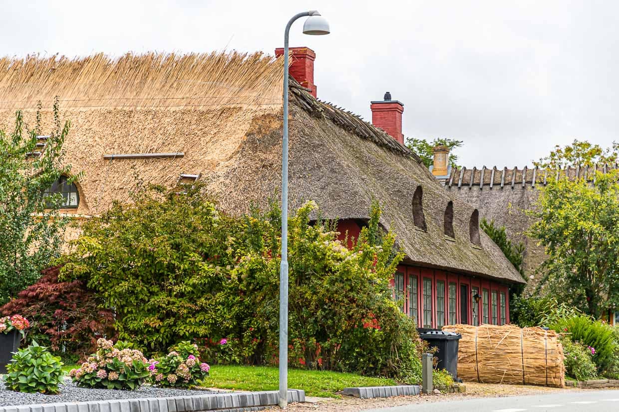 Troense gilt als einer der schönsten Orte. Hier stehen viele alte Reetdach-Häuser. Obstanbau und Schiffsbau war früher von Bedeutung. Besonders prachtvolle Reetdachhäuser stehen direkt an der Hafenpromenade. Hier wird ein Dach mit neuem Schilfrohr ausgebessert / © Foto: Georg Berg