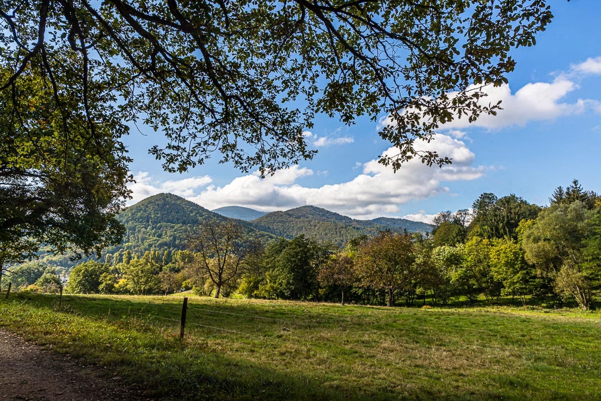 Das Elsass besteht nicht nur als alten Städten und Weinbergen. Die Berglandschaft der Vogesen steht im Mittelpunkt der Wanderungen von Hotel zu Hotel / © Foto: Georg Berg