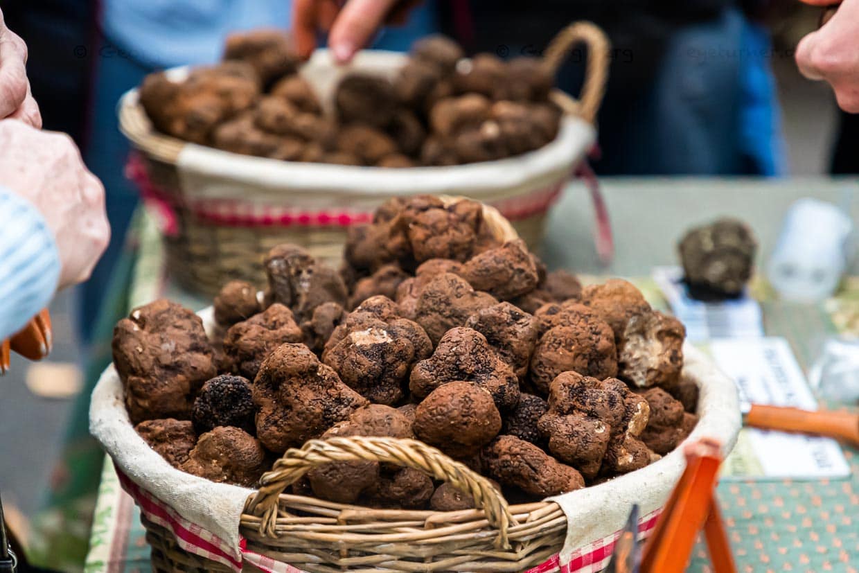 Der Trüffelmarkt in Aups findet von Anfang Dezember bis März immer donnerstags statt. Der Trüffelmarkt von Aups ist der drittgrößte seiner Art in ganz Frankreich. Hier verkaufen die Trüffelhändler direkt an Endkunden. Woanders sind beim Trüffelhandel meist Großhändler zwischengeschaltet / © Foto: Georg Berg