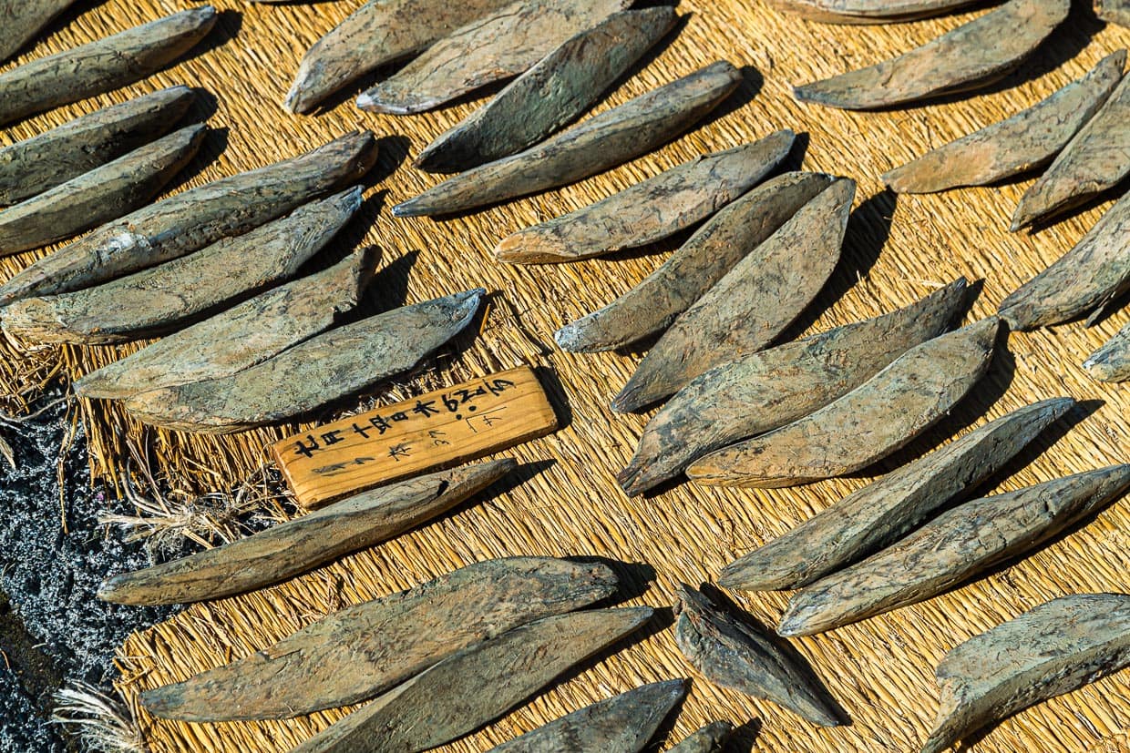 Sonne und Schimmelkultur im Wechsel geben dem Honkare-Katsuobushi den angestrebten Feuchtigkeitsgrad von unter 20 Prozent / © Foto: Georg Berg
