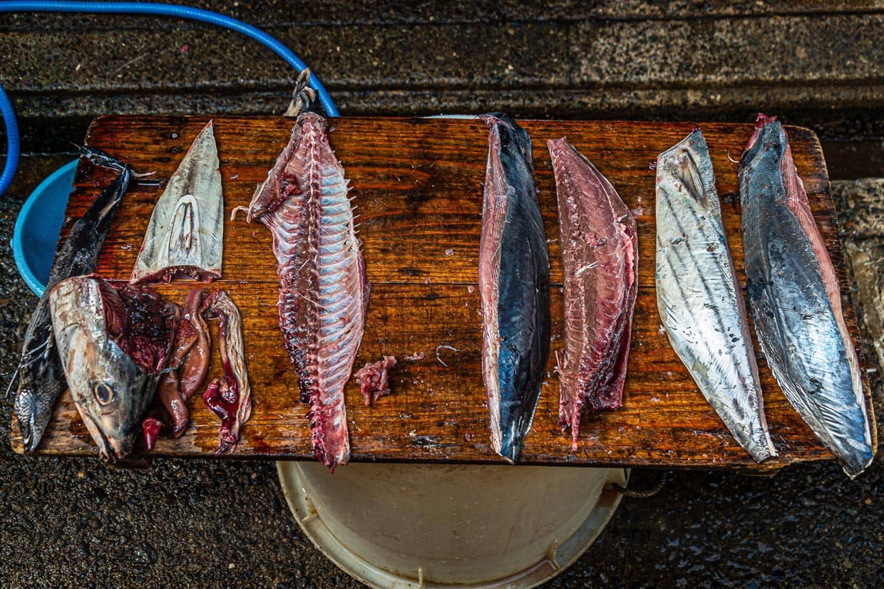 Fein säuberlich zerlegt: An den vier Filets kann man jetzt schon die spätere Form des Honkare-Katsuobushi erkennen. Durch die mehrstufige Trocknung wird das Endprodukt viel kleiner sein. Auch alle anderen Teile des Fisches werden verwertet / © Foto: Georg Berg