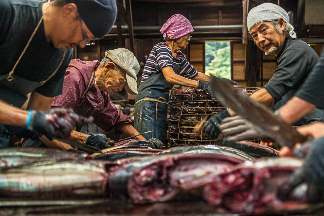 Yasuhisa Serizawa, rechts im Bild. Ihm gegenüber sein Vater, der mit weit über 80 Jahren noch mitzerteilt. Seine Mutter nimmt die Fischhälften und legt sie für den nächsten Arbeitsschritt in einen großen Metallkorb / © Foto: Georg Berg