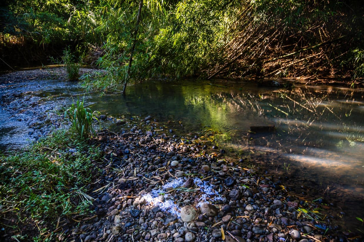 Papierschnitzel aus dem Reiswolf markieren die Spur, auch wenn kein Weg zu erkennen ist. Aber was bedeutet dieses Zeichen? / © Foto: Georg Berg