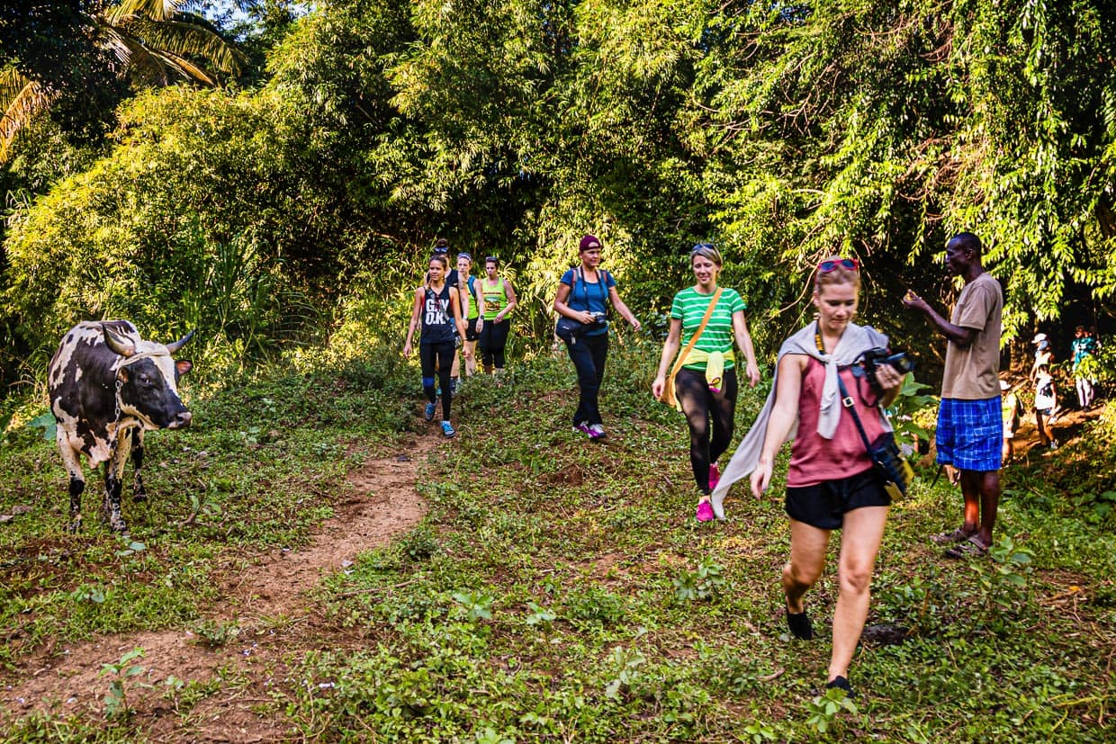 Die Kuh hätt lieber ihre Ruh / © Foto: Georg Berg