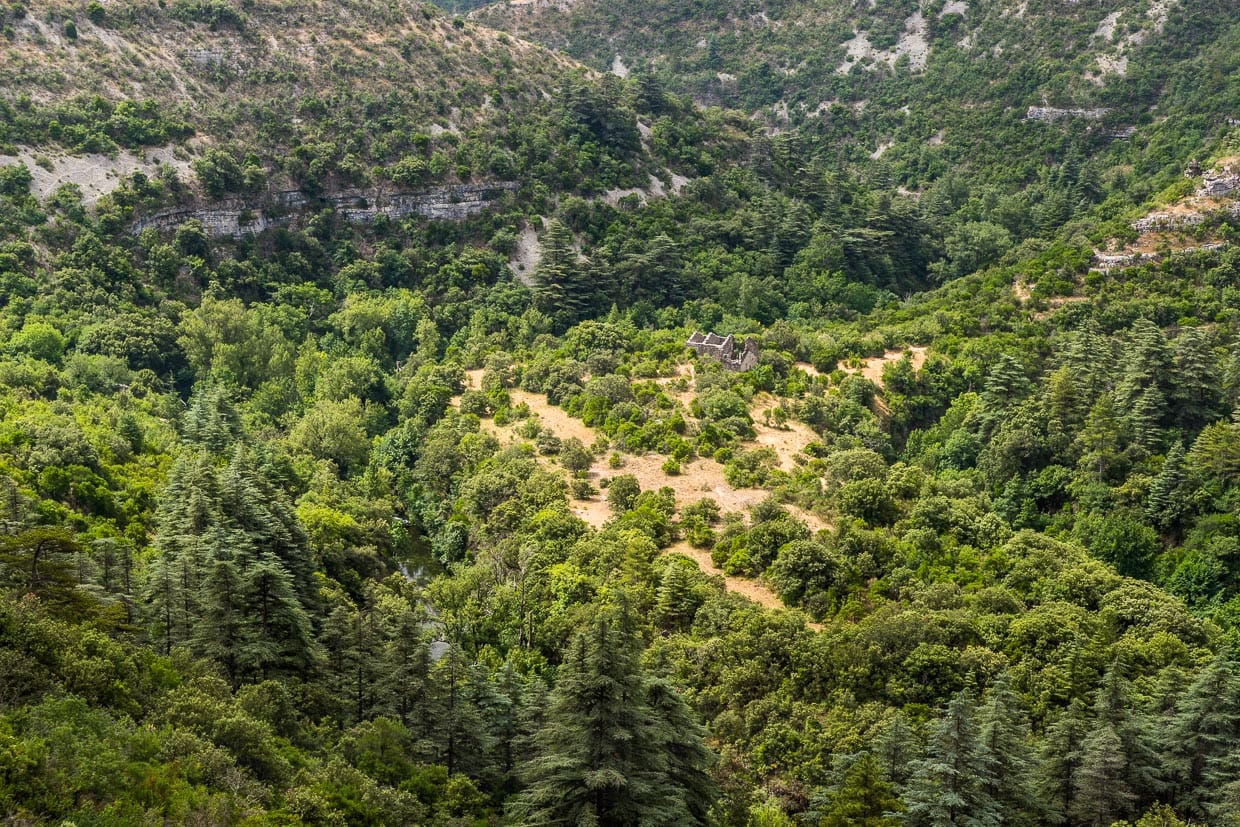 Der Weg von den Getreidefeldern bis zur Mühle war oft beschwerlich / © Foto: Georg Berg