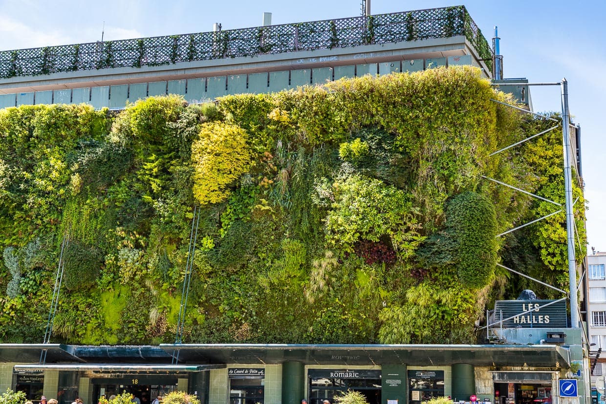 Markthalle Les Halles in Avignon. Die Pflanzenwand von Patrick Blanc hat ein ausgeklügeltes Bewässerungssystem und löste einen Boom für vertikale Stadtbegrünung weltweit aus. Auf einem Quadratmeter wachsen 20 Pflanzen / © Foto: Georg Berg