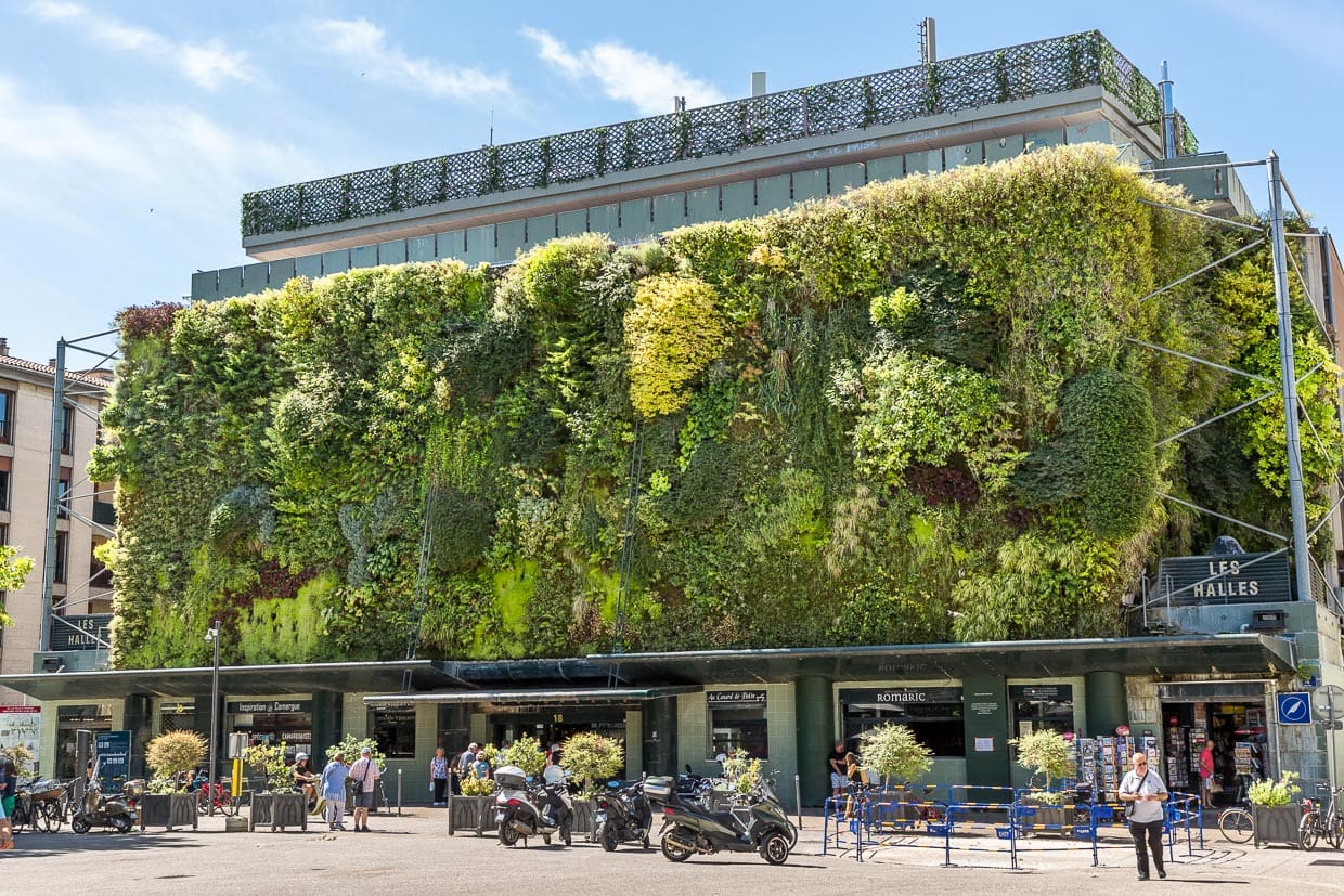 Markthalle Les Halles in Avignon. Die Pflanzenwand von Patrick Blanc hat ein ausgeklügeltes Bewässerungssystem und löste einen Boom für vertikale Stadtbegrünung weltweit aus. Auf einem Quadratmeter wachsen 20 Pflanzen / © Foto: Georg Berg