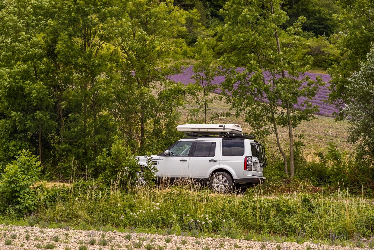 Auto vor Lavendelfeld. Das Lila der Lavendelblüte gibt im Juni und Juli den Ton an im Tal der Drome. Hier treffen die Alpen auf die Provence. Auf einer Route des Lavendls kann man in diesen Monaten viele Täler und Ortschaften mit bühenden Lavendelfeldern passieren / © Foto: Georg Berg