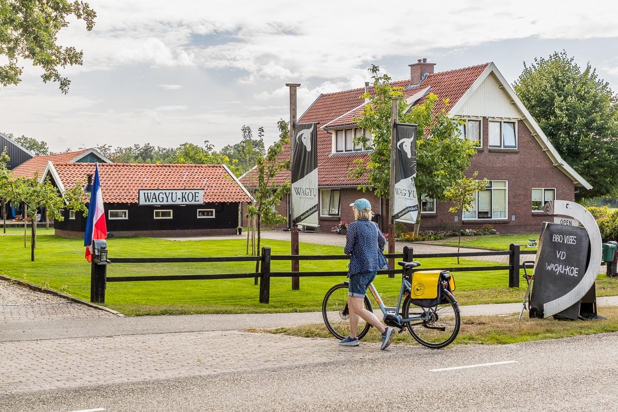 Wagyu-Farm in Delden mit Hofverkauf von Fleisch / © Foto: Georg Berg