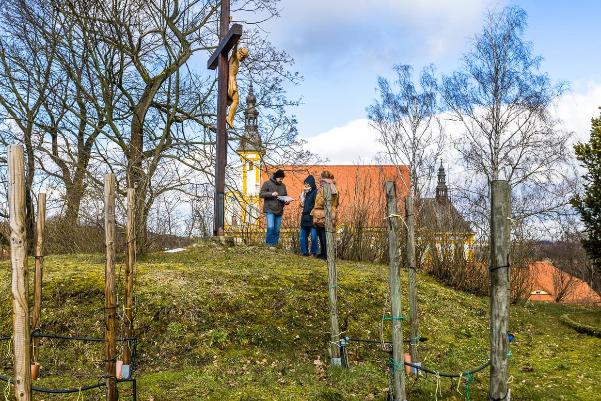 Kuppel des Weinbergs Kloster Neuzelle mit Blick auf die Stiftskirche. Heute stehen hier wieder Rebstöcke, die von der Klostergärtnerei bewirtschaftet werden / © Foto: Georg Berg