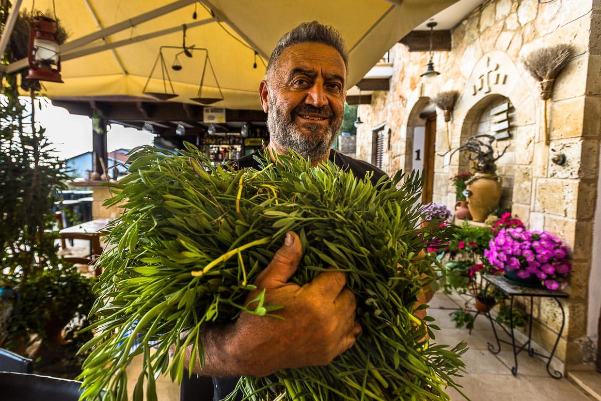 Marius Hanna Koumi mit frisch geerntetem Meeresfenchel. Dieser wird in Essig eingelegt und als Beilage zu Fleisch und Fisch gereicht / © Foto: Georg Berg