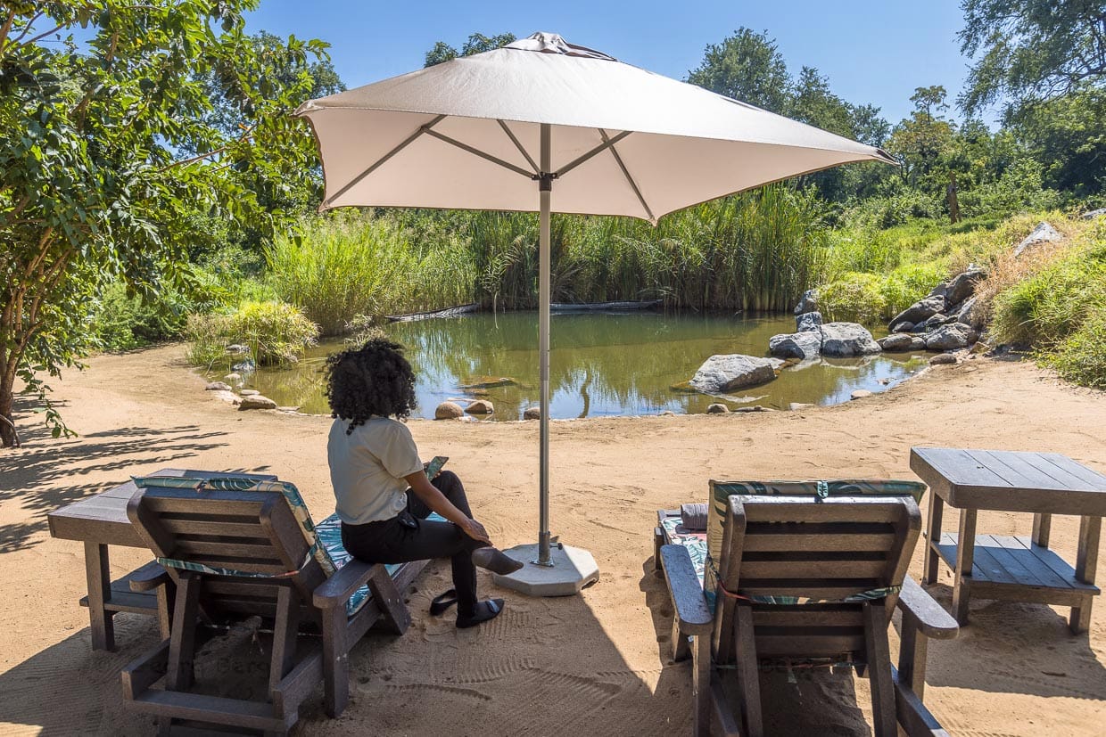 Poolanlage Thawale Lodge. Der Naturteich für die Lodge Gäste ist eingezäunt, während das übrige Gelände nicht durch Zäune vom Majete Wildlife Reserve getrennt ist / © Foto: Georg Berg