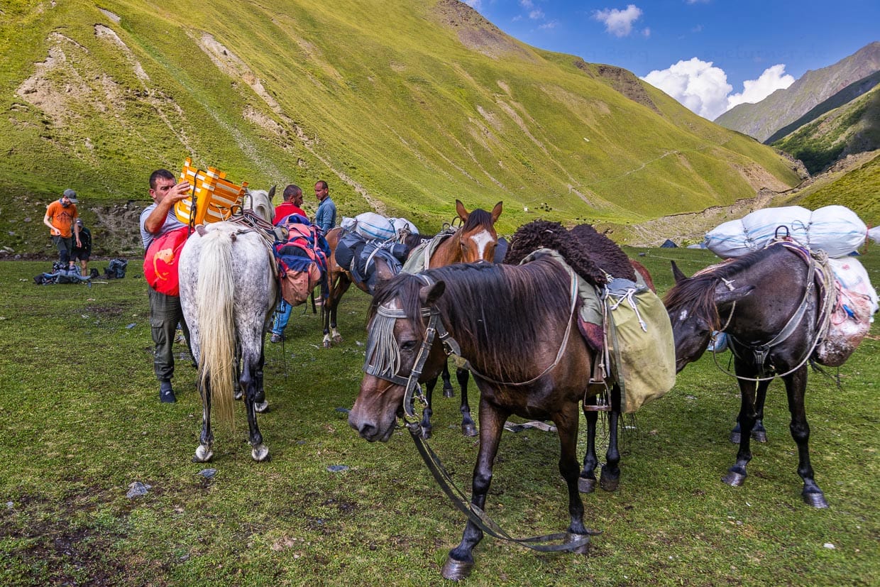 Erfahrene Säumer beherrschen das Beladen von Packpferden / © Foto: Georg Berg