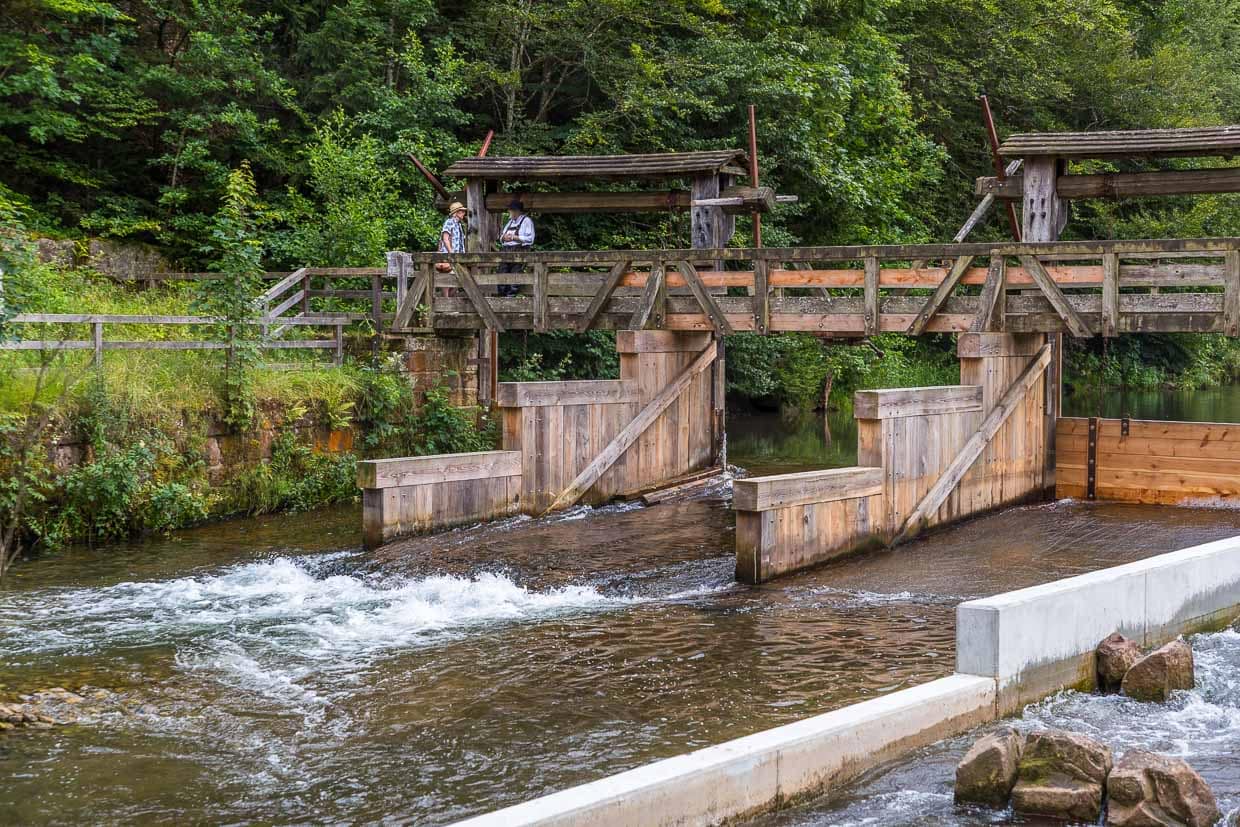 Flößer-Wehr an der Monhardter Wasserstube. Zu sehen ist die Flößergasse, über die auf einem angestauten Wasserschwall früher die Flöße ihren Weg auf der Nagold angetreten hatten / © Foto: Georg Berg