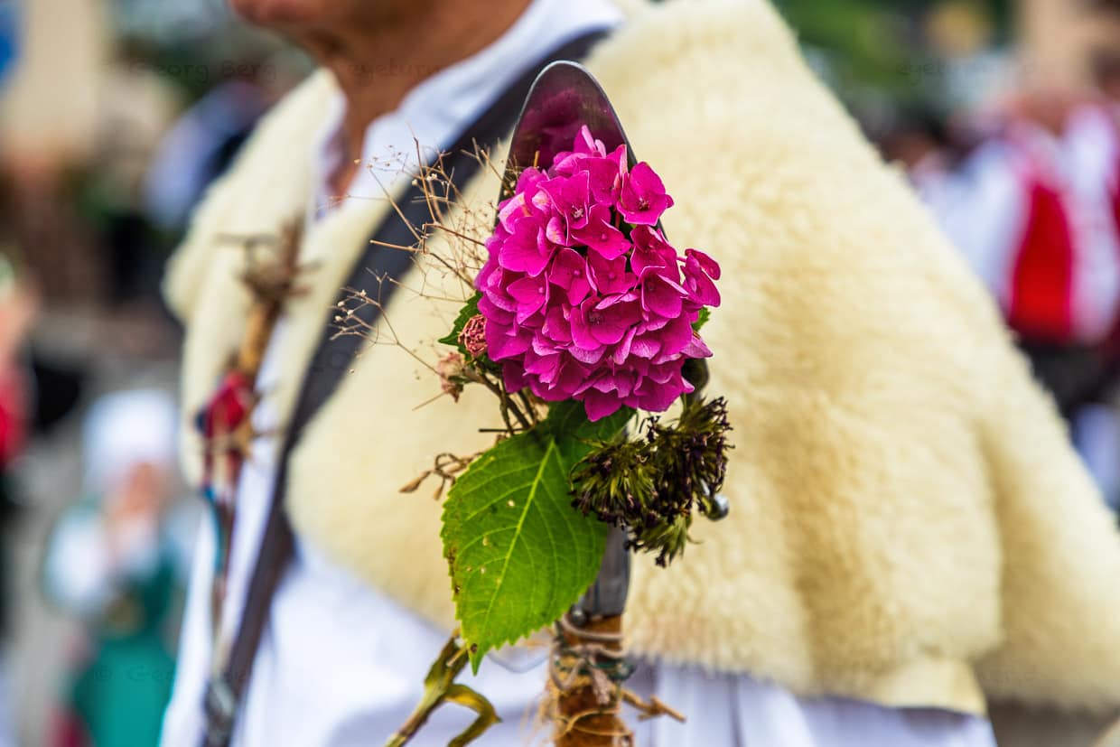 Schäferschippe mit Blumen geschmückt auf dem Festumzug in Wildberg. Die kleine Schaufel am unteren Ende des Schäferstabs erfüllt mehrere praktische Aufgaben im Alltag eines Schäfers, wie Herdenlenkung, Erdklumpen werfen, Zeichen für Hütehund, Kotprobenentnahme, Pflanzen entfernen, Giftige oder störende Pflanzen ausstechen. Die Schäferschippe ist auch ein Symbol des Schäferberufs und wird oft als Wappenzeichen verwendet / © Foto: Georg Berg