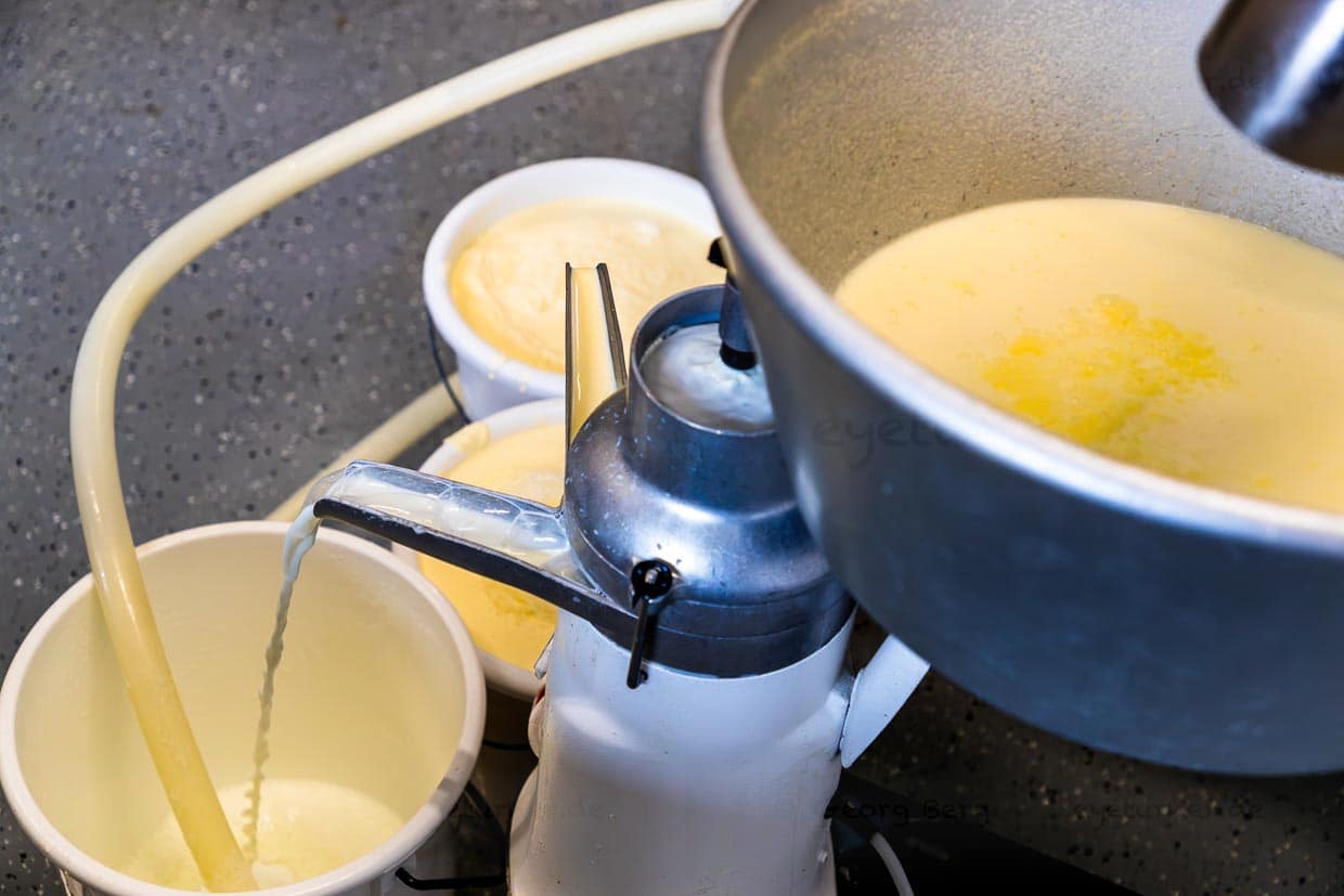 In der Molkerei von Landwirtin Bettina Huber auf dem Promegghof im Salzburgerland. Die frische Milch von der Alm wird getrennt zu Magermilch und Rahm. Der Rahm, aus dem später Butter gewonnen wird, ist im Sommer aufgrund der Kräuter der Almwiesen sehr gelb / © Foto: Georg Berg