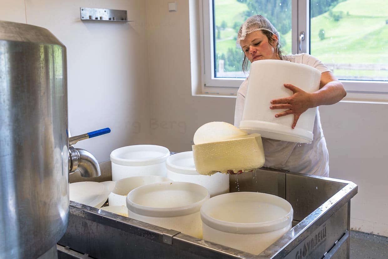Betinna Huber wendet den frischen Käsebruch, aus dem einmal Schnittkäse werden soll, bis zu dreimal / © Foto: Georg Berg
