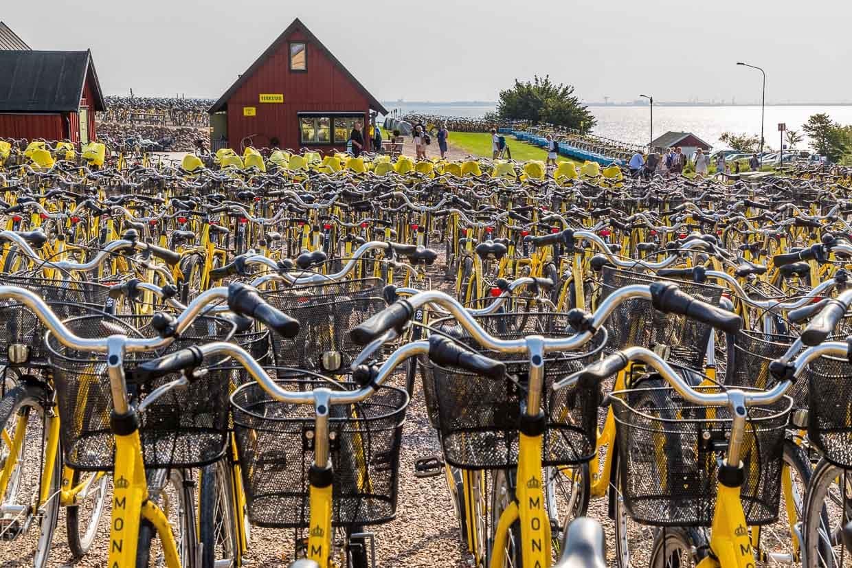 Rund 1.500 gelbe Fahrräder für Erwachsene und Kinder, mit Anhänger oder Kindersitz oder als Tandem gibt es auf der Insel Ven im Verleih. Auf der kleinen Insel im Öresund gibt es nur wenige Autos aber rund 12 Kilometer Fahrradwege / © Foto: Georg Berg