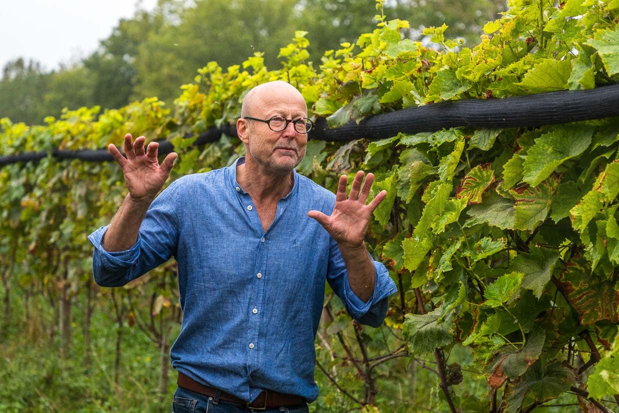 Winzer Christoph Kühne-Hellmessen in seinen Weinreben auf der Insel Usedom. Er experimentiert mit sieben verschieden Rebsorten und den geschmacksbildenden Böden. Weinanbau hat der Landwirt auf Sizilien erlernt / © Foto: Georg Berg