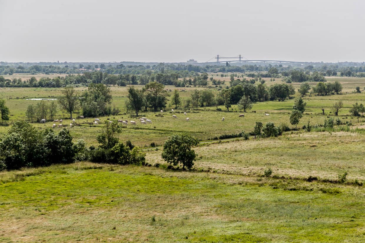 Die Schwebefähre (Pont Transbordeur) über die Charente bei Rochefort (Nouvelle-Aquitaine) ist mit ihren 68 Meter hohen Stahlpylonen schon von weitem sichtbar / © Foto: Georg Berg