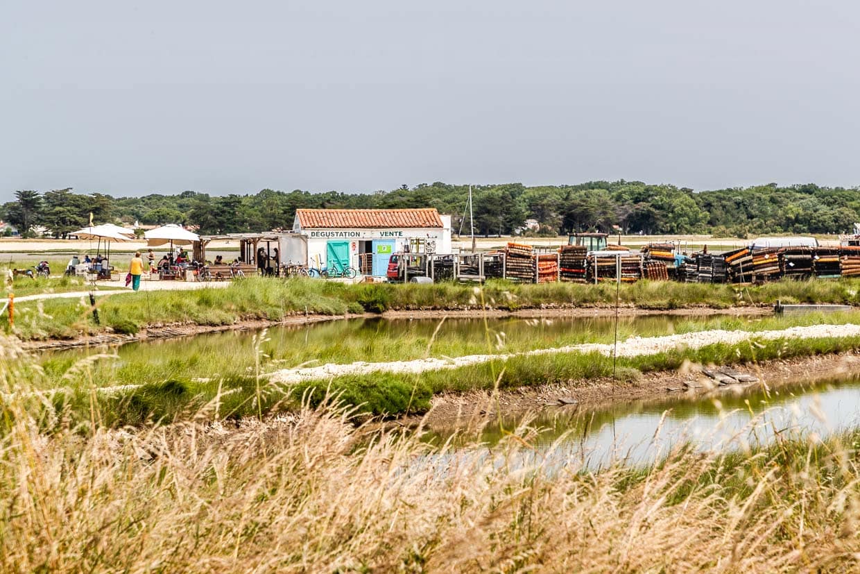 Restaurant und Strandlokal Chez Franck auf der Insel Aix, Charente-Maritime / © Foto: Georg Berg
